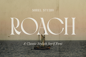 Roach - Modern Display Typeface