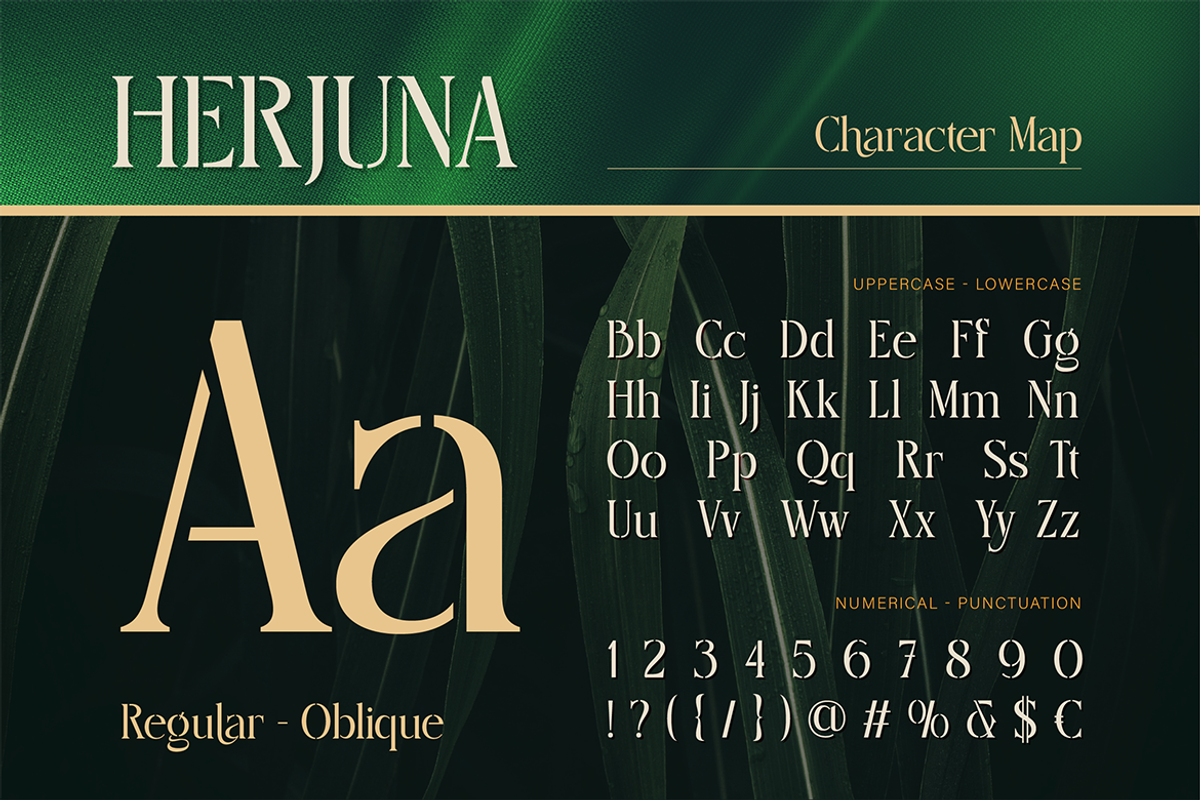 Herjuna, a Serif Font by Burntilldead (Photo 2 of 12)