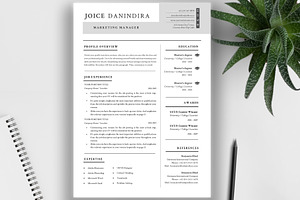 Simple Professional Resume/ CV