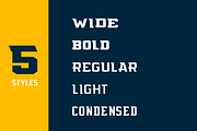 Flyer, a Serif Font by Studio One Four (Thumbnail 4 of 5)