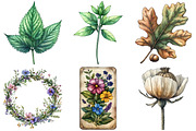 Herbal Witch Sublimation Clipart Bun, an Illustration by Daily.Designs (Thumbnail 2 of 5)