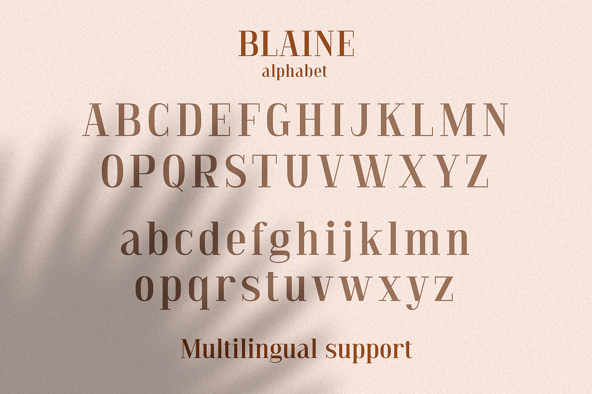 Blaine, a Serif Font by Larin Type Co. (Photo 10 of 11)