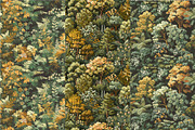 10 Woodland Wonder Seamless Patterns, a Pattern Graphic by Inknfolly (Thumbnail 3 of 6)