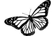 Butterfly Silhouette Bundle, an Object Graphic by Designer_Momina (Thumbnail 7 of 20)