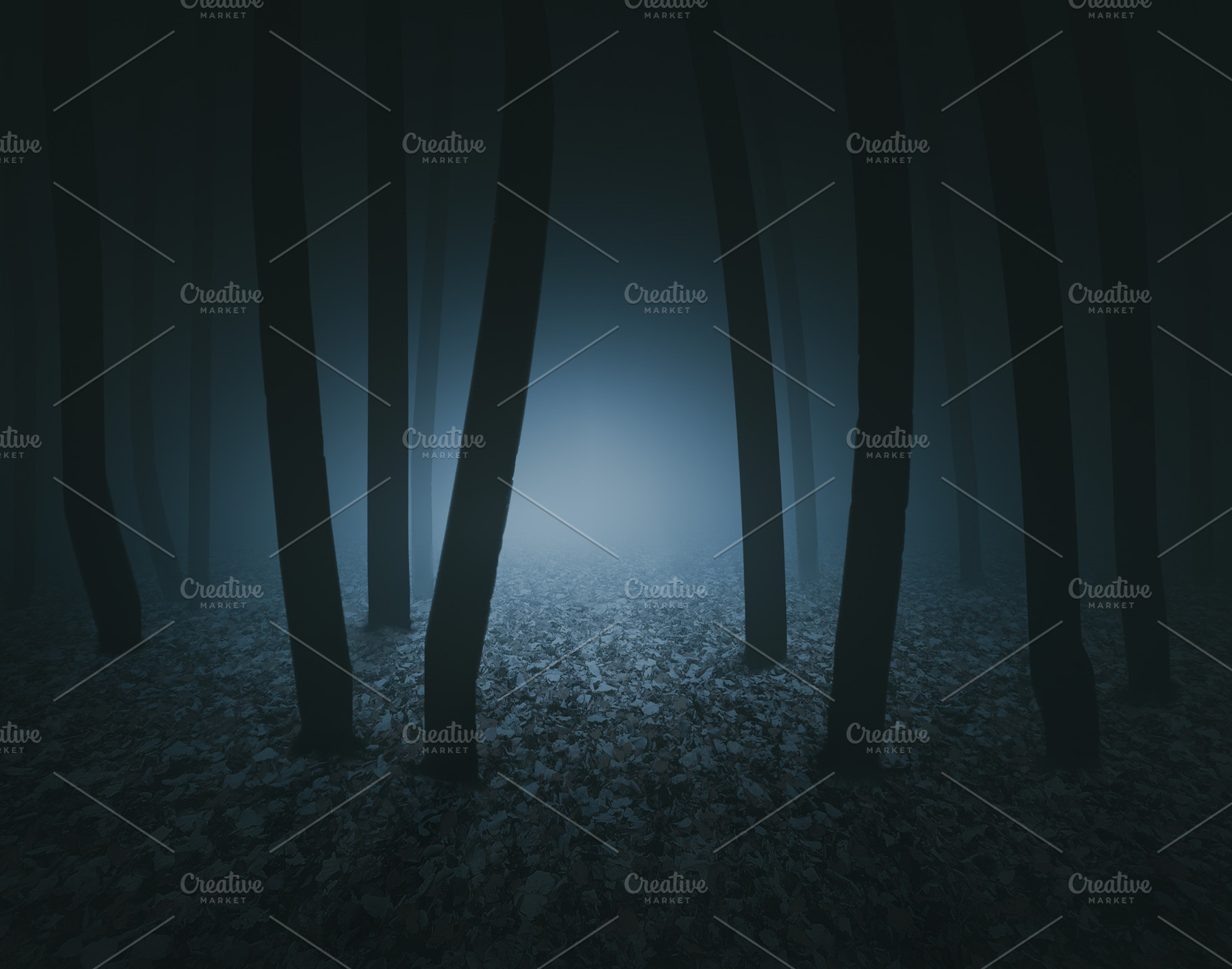 dark scary forest, a Nature Photo by mimadeo