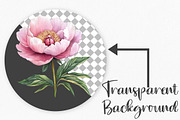 Watercolor Valentine's Day Clipart, an Illustration by Canvas Craft (Thumbnail 2 of 6)