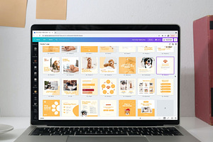 Pets Instagram Feed Canva Templates