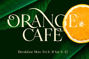 Florian -Swashy Serif Type, a Serif Font by Fenotype (Thumbnail 6 of 10)