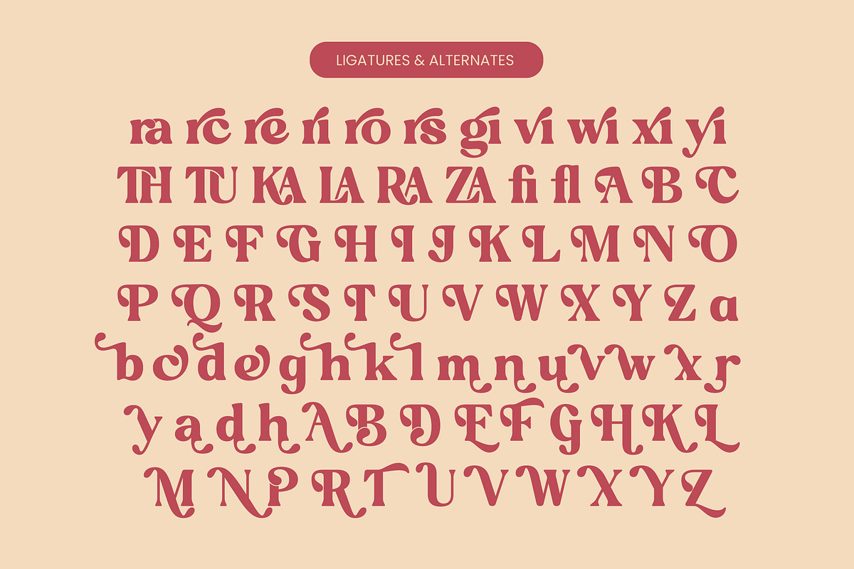 Regina Bonita Modern Retro Serif, a Serif Font by timelesstype.co (Photo 19 of 20)
