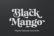Magnilo Display, a Serif Font by Mulkan Nazir (Thumbnail 10 of 18)