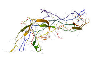Human chorionic gonadotropin hormone, a Healthcare Illustration by Leonid Andronov