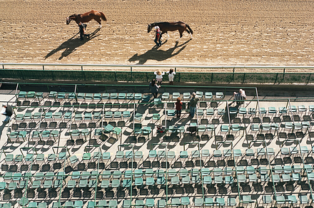 Looking Down on Horse Race Track