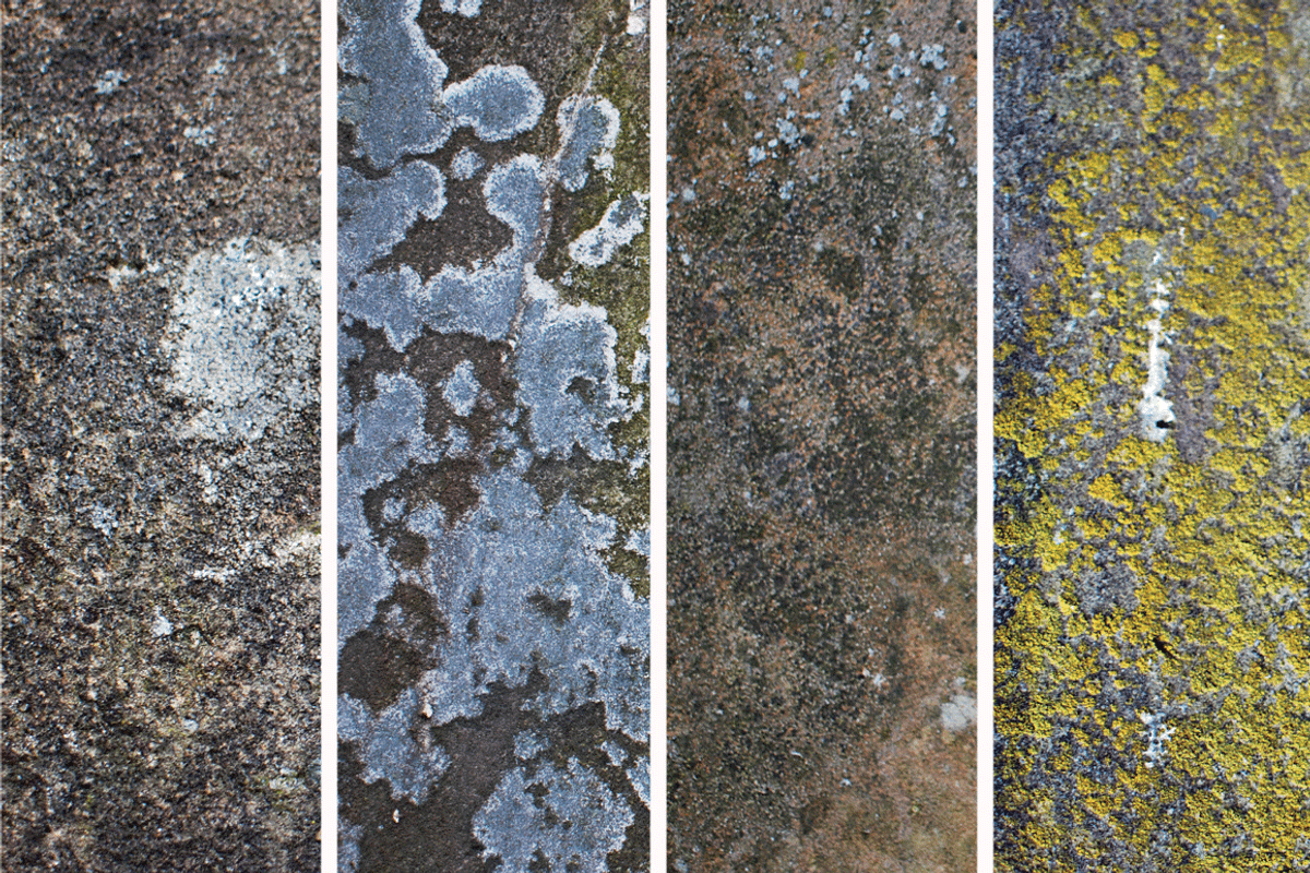 Stone Texture Pack, a Texture Graphic by Ben Burford Fonts (Photo 2 of 3)