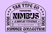 TAN - NIMBUS, a Font by TanType (Thumbnail 20 of 20)