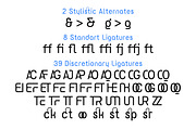 Davigo – Corporate Logo Font, a Sans Serif Font by Lettertype Studio (Thumbnail 8 of 11)