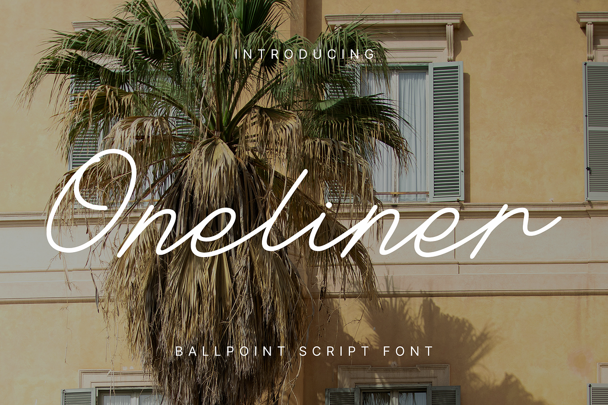 Oneliner - Ballpoint Script Fonts, a Script Font by Konstantine Studio (Photo 1 of 5)