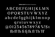 Refiost, a Serif Font by studiobasic (Thumbnail 10 of 10)