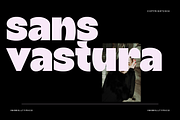 sans vastura | playful curves, a Sans Serif Font by InkwellTypeCo (Thumbnail 1 of 10)
