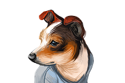 55 Dog Breeds Popular in USA, an Animal Illustration by Dneprstock (Thumbnail 14 of 14)