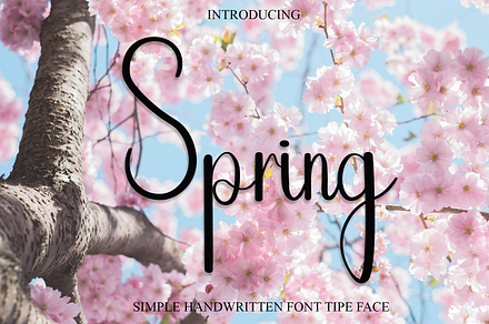 Spring, a Handwritten Font by FreshTypeINK