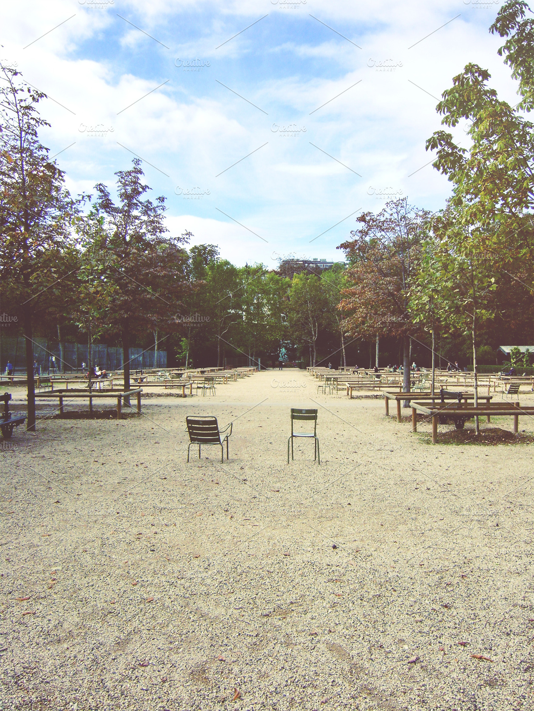 Chairs In Jardin Du Luxembourg
