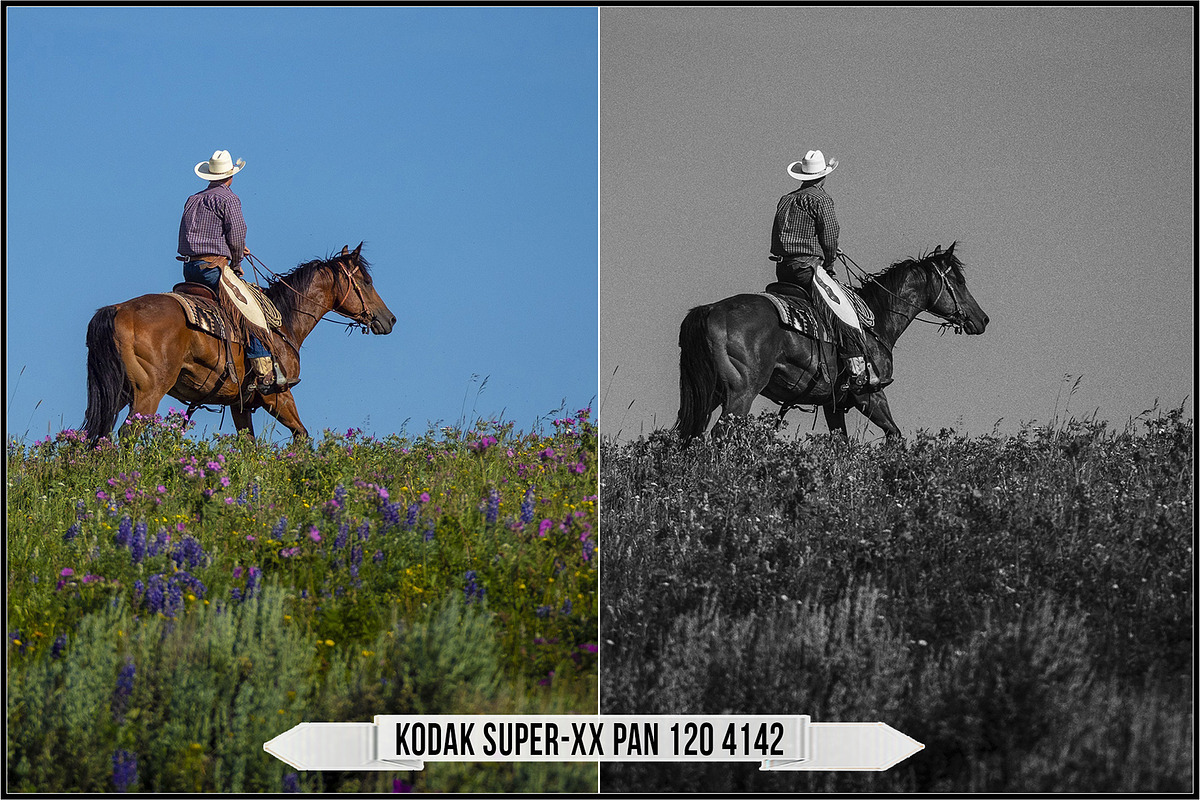 Eastman Kodak Black White Films LUTs, a Plug-in Add-On by Raztrend (Photo 27 of 30)