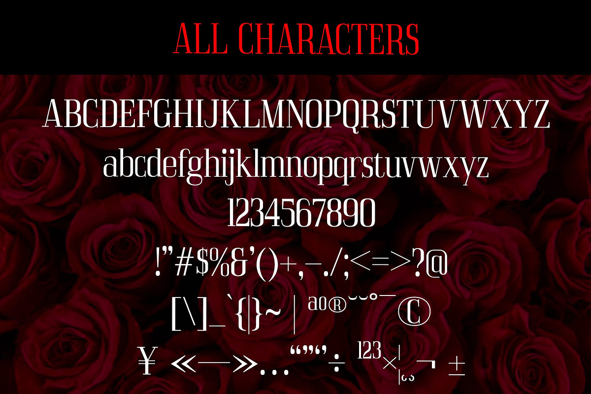 Acelon – Condensed Serif, a Sans Serif Font by Craft Supply Co. (Photo 8 of 8)