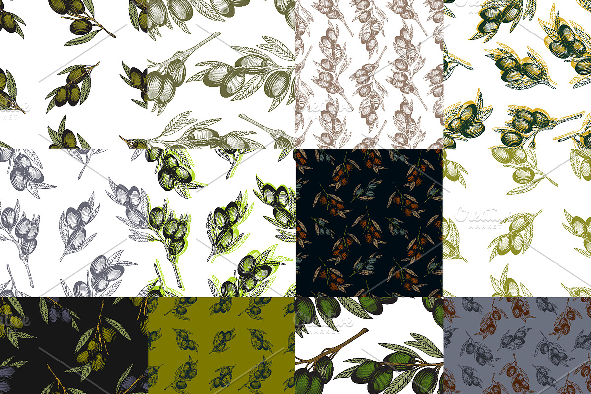 Olivet - olive branch collection, a Decorative Illustration by VioSilent (Photo 6 of 10)