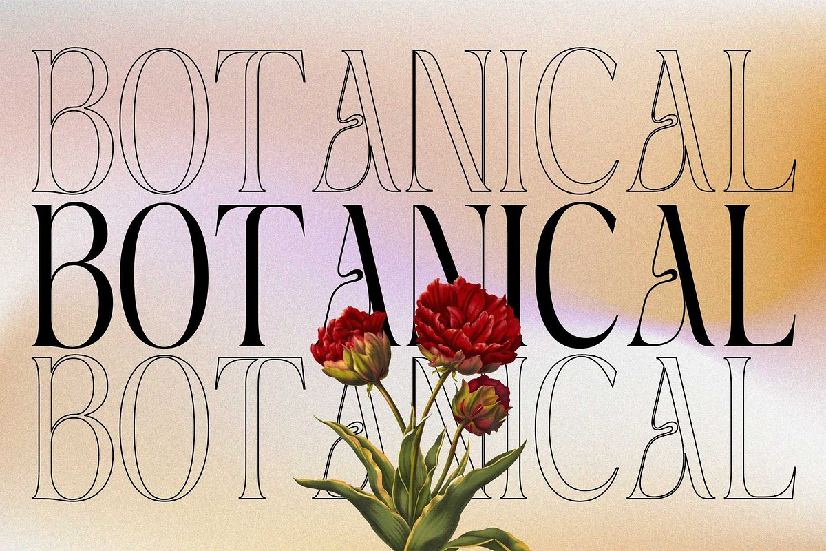 Mexa - Display Serif, a Serif Font by Nirmana Visual (Photo 11 of 13)