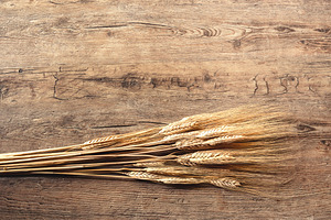 Wheat on wooden background stock photo containing wood and wheat