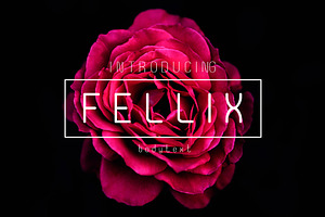 Fellix