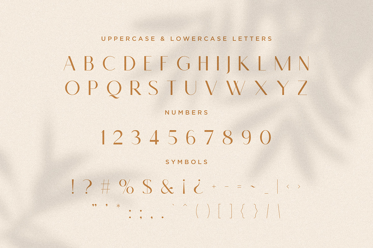 Monica - Classic & Elegant Sans, a Sans Serif Font by Mikhail Fukurou (Photo 10 of 12)