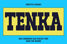 Tenka - Condensed Slab Serif Font