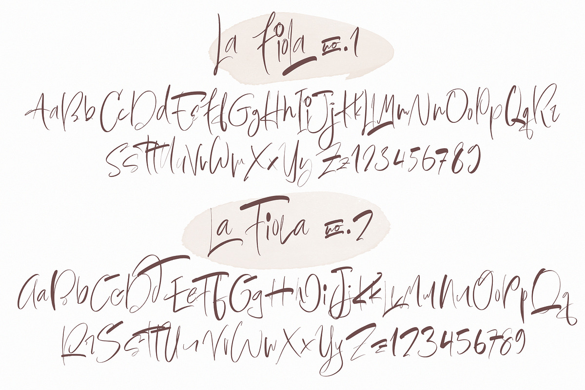 La Fiola (Intro Sale), a Handwritten Font by Papermode Co. (Photo 8 of 10)
