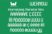 Playing Momentum font, a Sans Serif Font by weknow (Thumbnail 8 of 8)