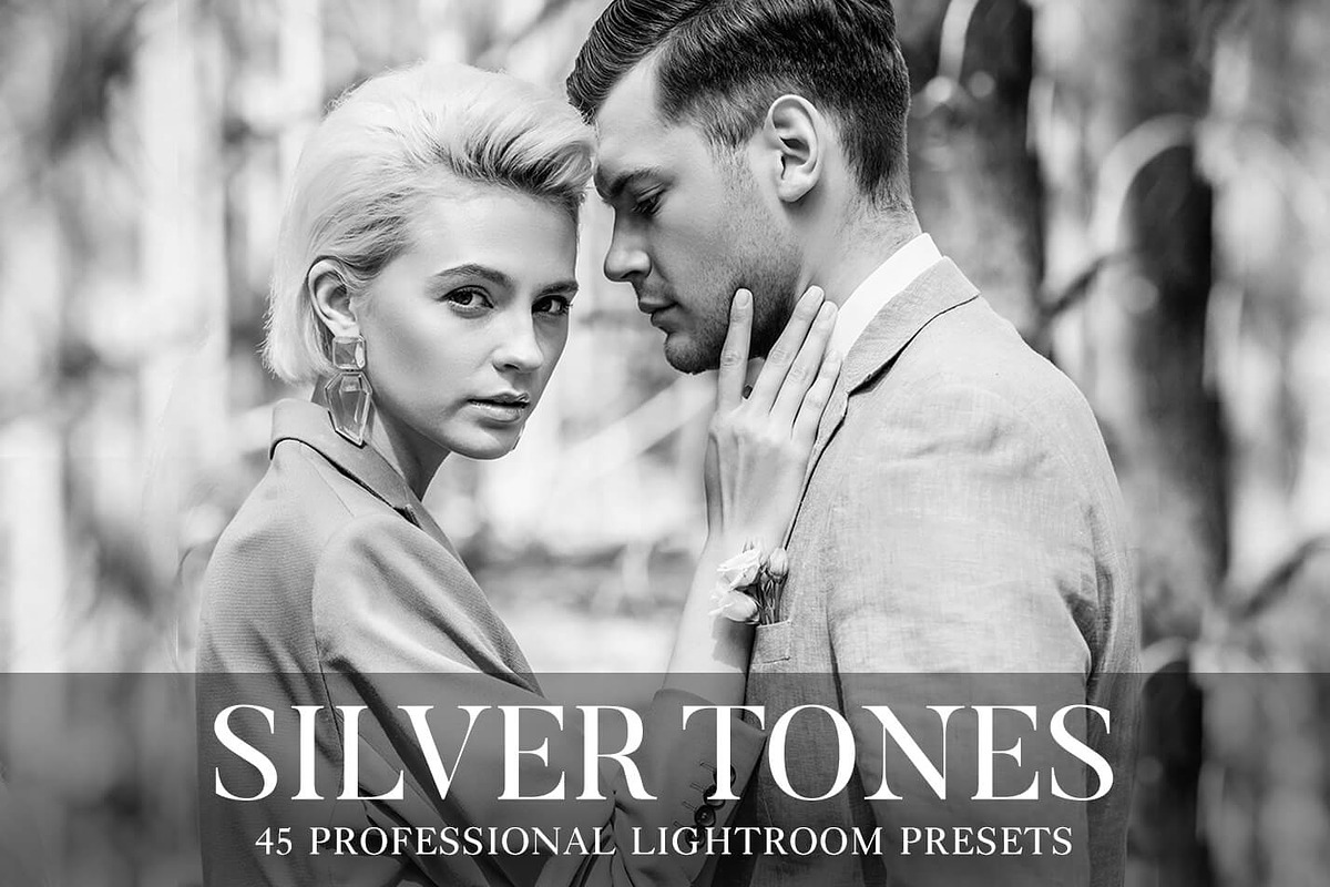 Silver Tones Presets Lightroom, a Plug-in Add-On by FixThePhoto (Photo 1 of 21)