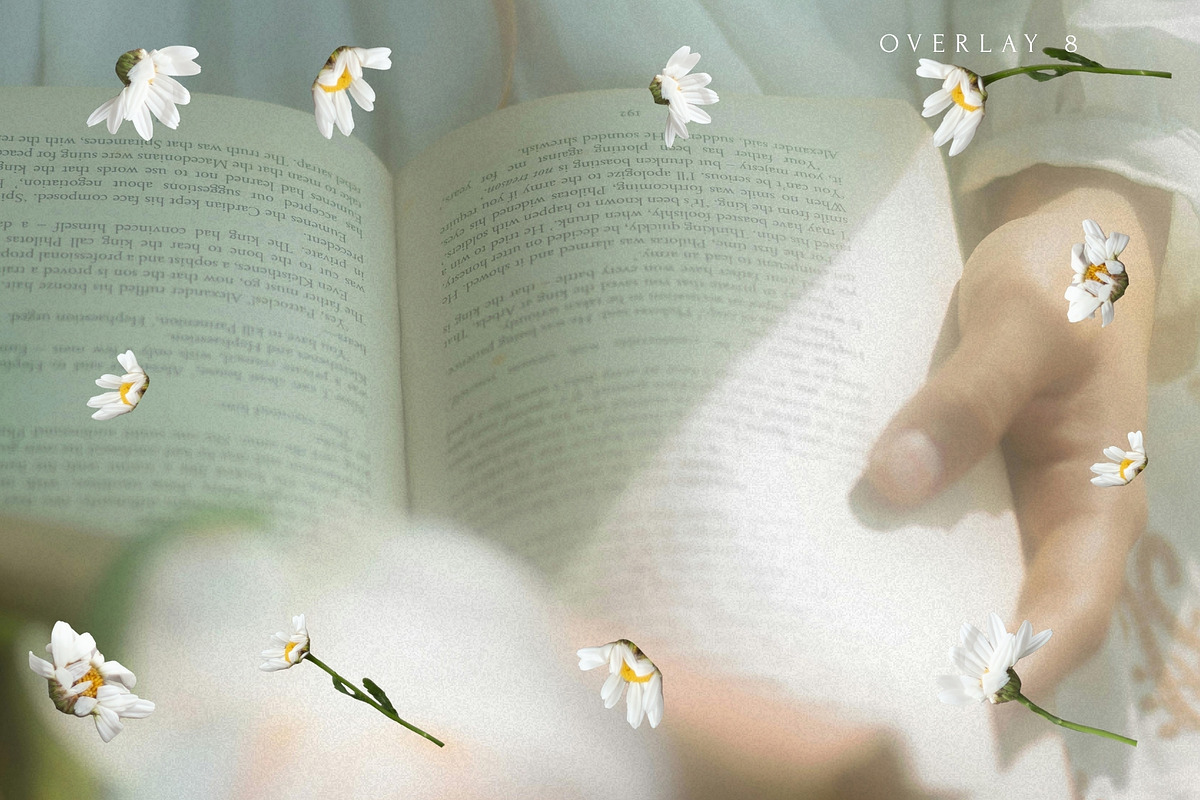 Petals Botanical Overlay Kit & Paper, an Object Graphic by Allure Art (Photo 16 of 22)