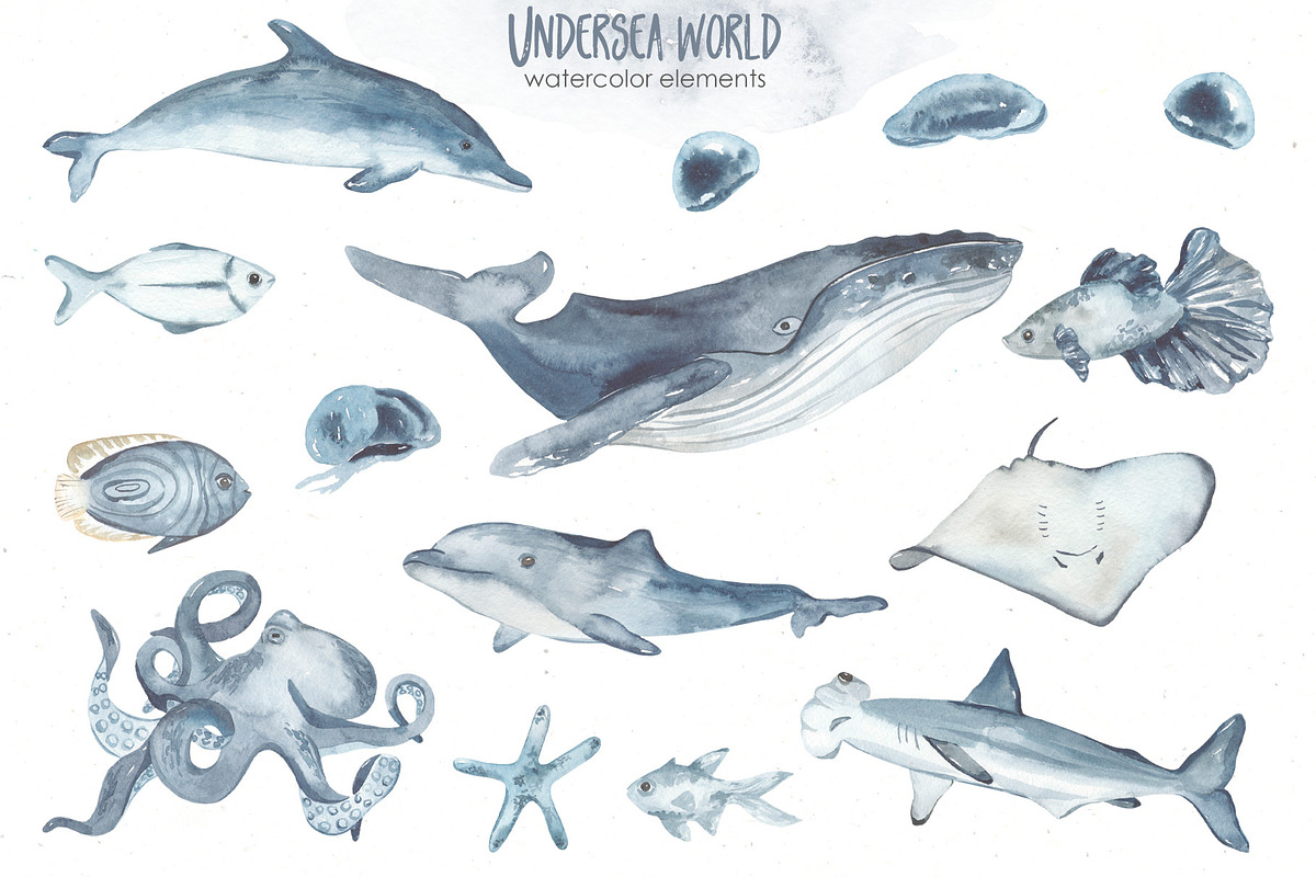 Undersea world Watercolor Part II, an Animal Illustration by Marina Ermakova (Photo 3 of 13)