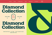 Garden Beasty Modern Bold Serif, a Serif Font by timelesstype.co (Thumbnail 4 of 10)