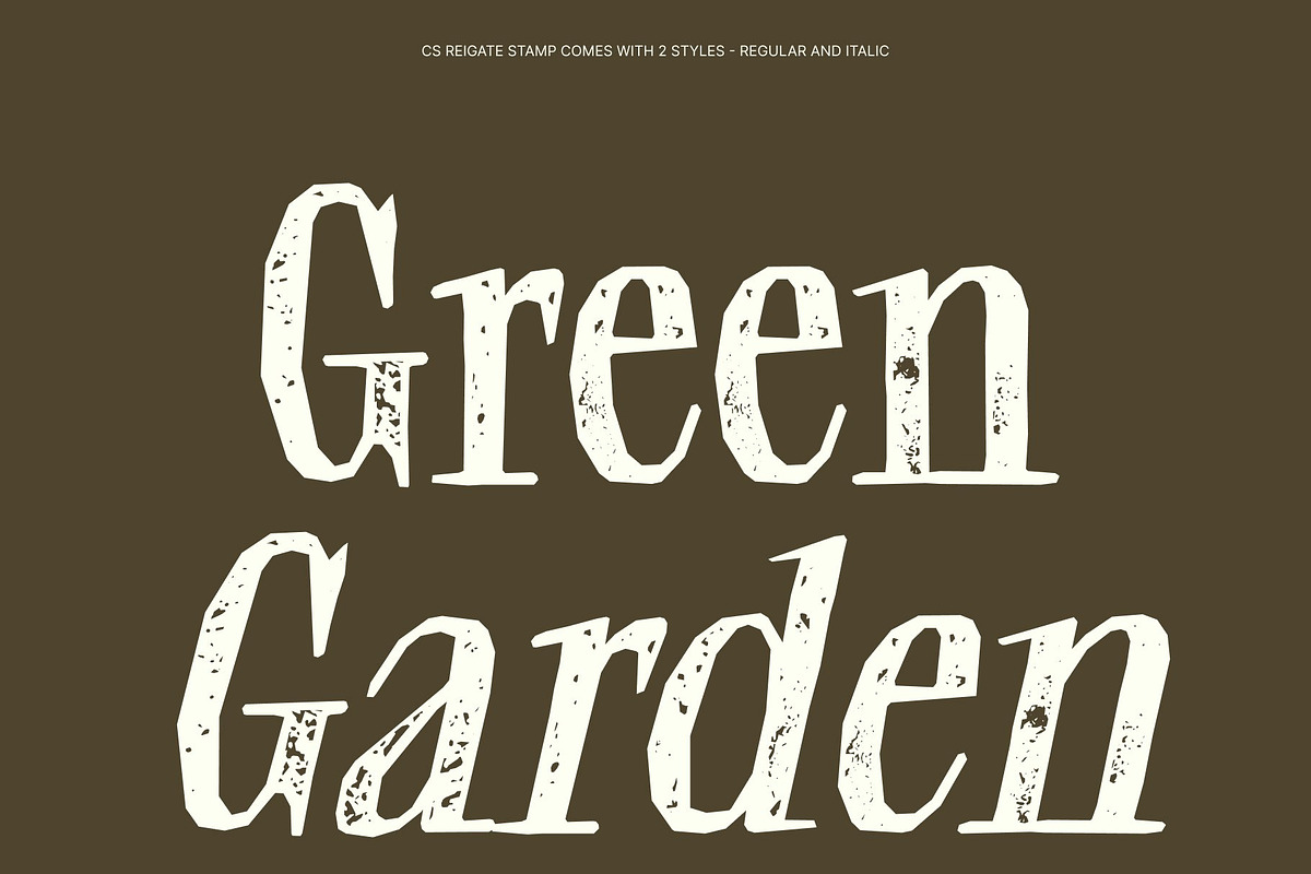 CS Reigate Stamp, a Serif Font by Craft Supply Co. (Photo 3 of 8)