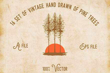 Vintage Handrawn of Pine Tree