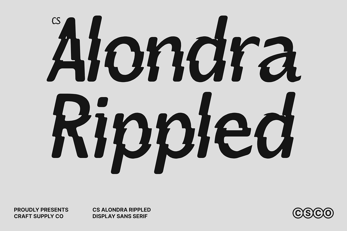 CS Alondra Rippled, a Sans Serif Font by Craft Supply Co. (Photo 1 of 8)