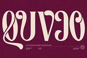 Valeris, a Serif Font by zaaintype (Thumbnail 11 of 11)