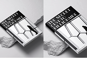 Fibonacci Heap - Slab Serif, a Slab Serif Font by erlosDESIGN (Thumbnail 11 of 12)