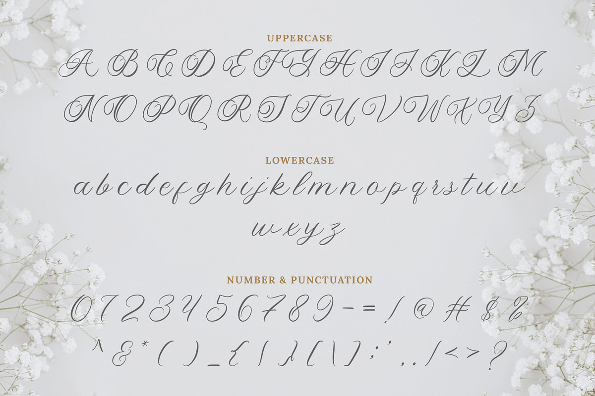 Yolitica |modern handwritten, a Script Font by ToniStudio (Photo 9 of 11)