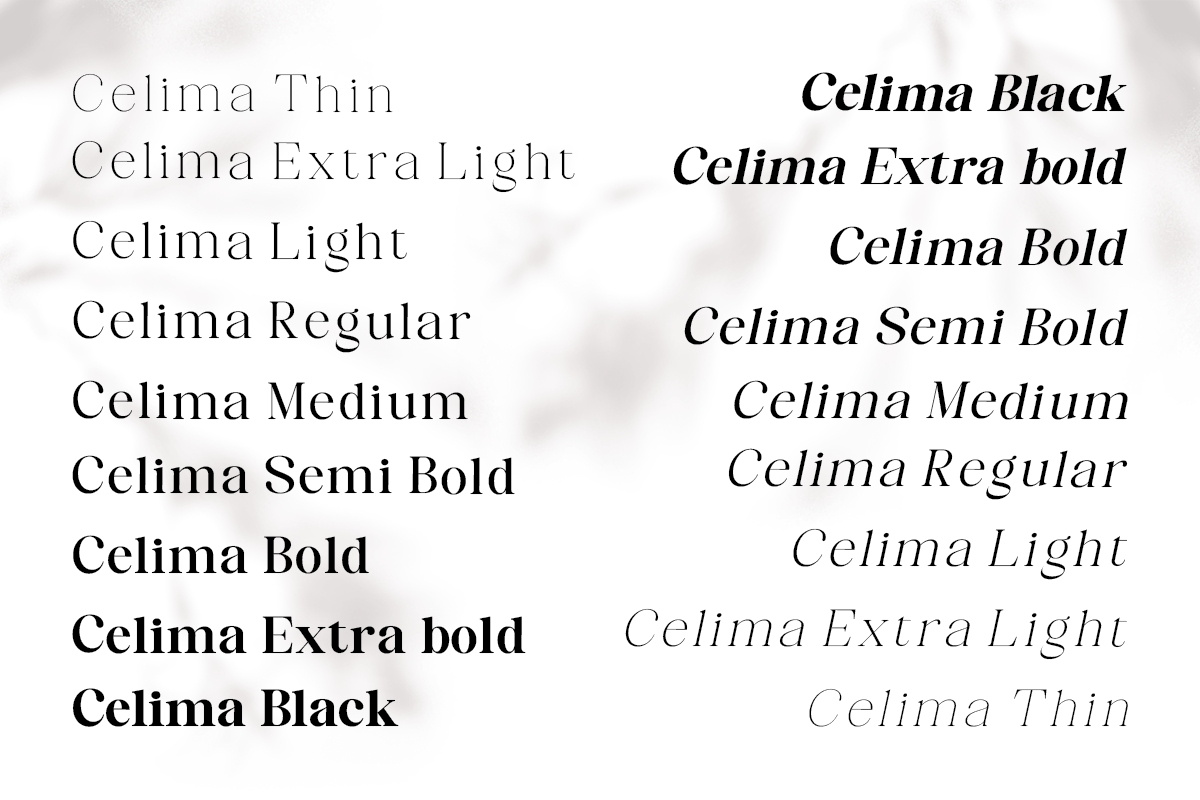 Celima, a Serif Font by Nurul_kamal (Photo 2 of 16)