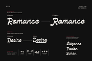Brindle — Bold Script Display Font, a Handwritten Font by Hasbi Creative (Thumbnail 7 of 12)