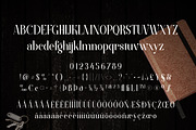 Florva, a Font by Font Bundles (Thumbnail 5 of 6)