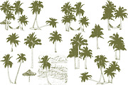 Palm tree collection (Vector), an Object Graphic by ArtOwl (Thumbnail 4 of 10)