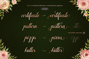 Flamingo - formal script, a Script Font by Blessed Print (Thumbnail 11 of 13)